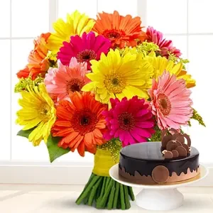 Colorful Gerbera Bouquet & Cake Delight