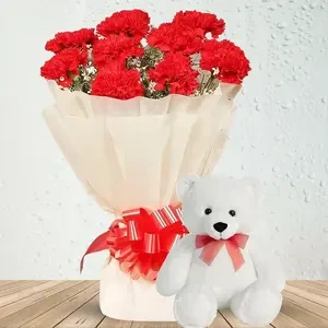 Bouquet Of Red Carnations & Teddy