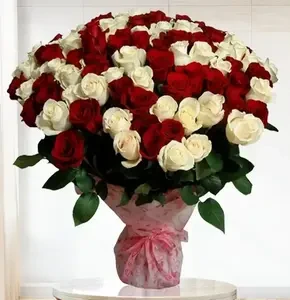 Grand Bouquet of 70 Red and White Roses