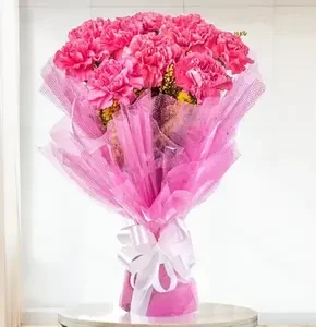 Bunch of 10 Sweet Pink Carnations