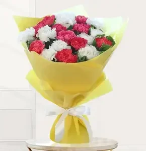 Mix of 25 Red & White Carnations